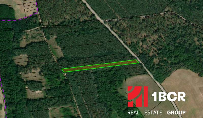 Sale Agrarian and forest land, Agrarian and forest land, Senica, Slova