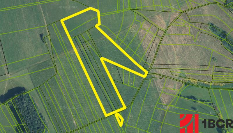 Sale Agrarian and forest land, Agrarian and forest land, Banská Bystri