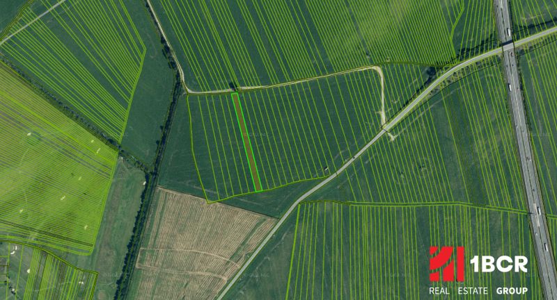 Sale Agrarian and forest land, Agrarian and forest land, Malacky, Slov