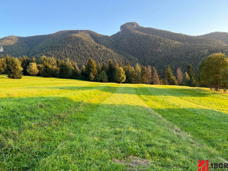 Sale Agrarian and forest land, Agrarian and forest land, Žilina, Slova