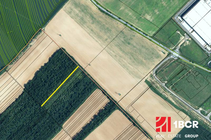 Sale Agrarian and forest land, Agrarian and forest land, Senec, Slovak