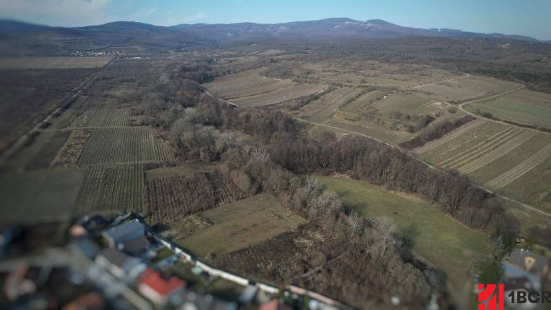 Sale Vineyards, Vineyards, Pezinok, Slovakia