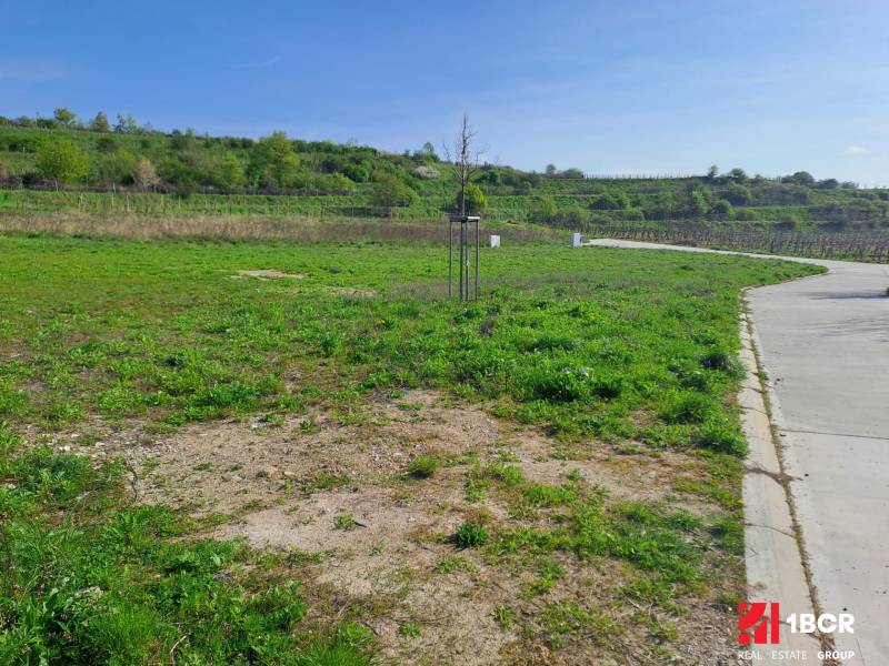 Sale Land – for living, Land – for living, Pod Vinicami, Pezinok, Slov