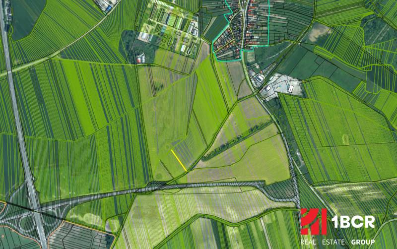 Sale Agrarian and forest land, Agrarian and forest land, Malacky, Slov