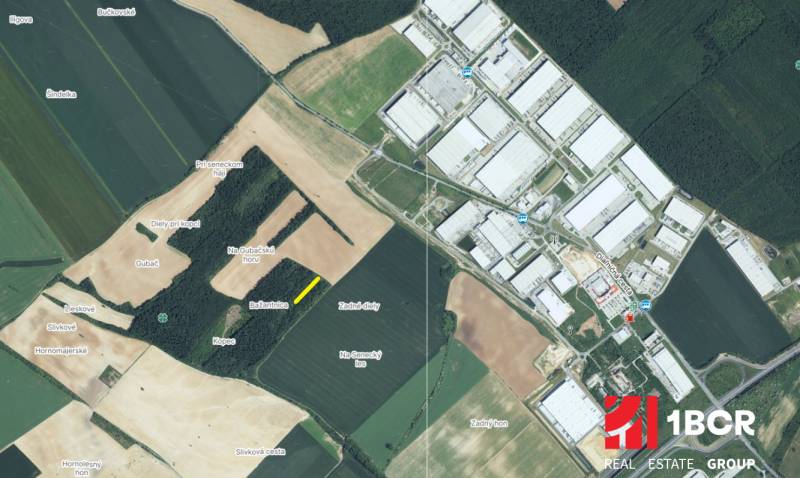 Sale Agrarian and forest land, Agrarian and forest land, Senec, Slovak