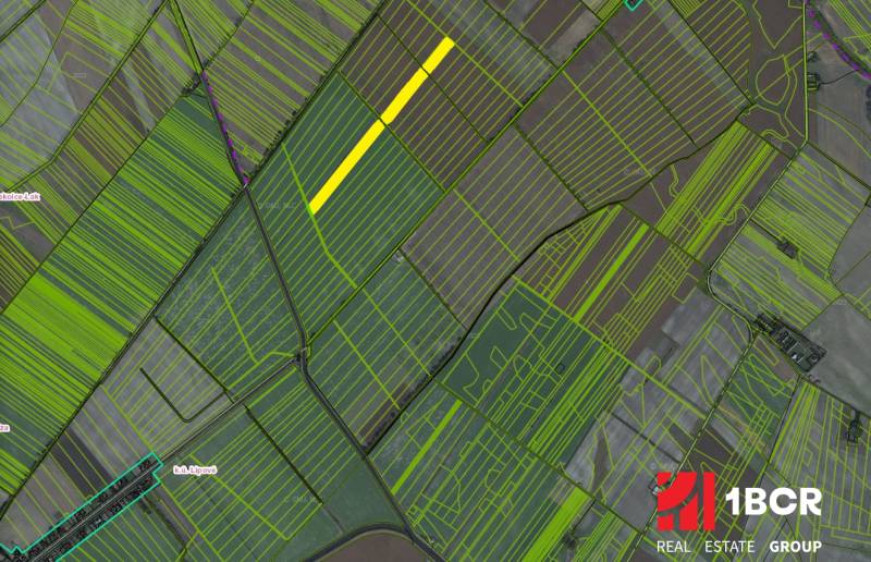 Sale Agrarian and forest land, Agrarian and forest land, Komárno, Slov
