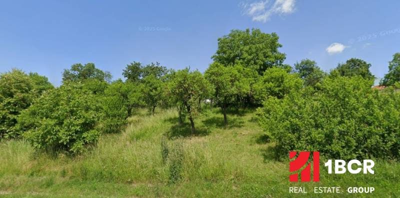 Sale Agrarian and forest land, Agrarian and forest land, Myjava, Slova