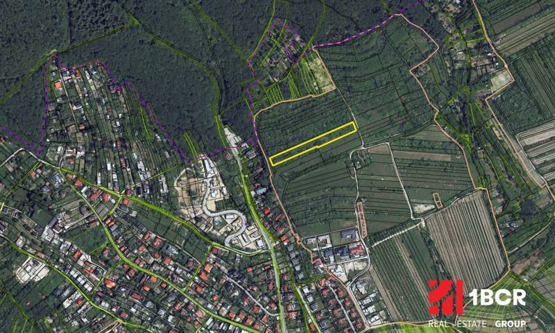 Sale Vineyards, Vineyards, Fongová, Bratislava - Rača, Slovakia