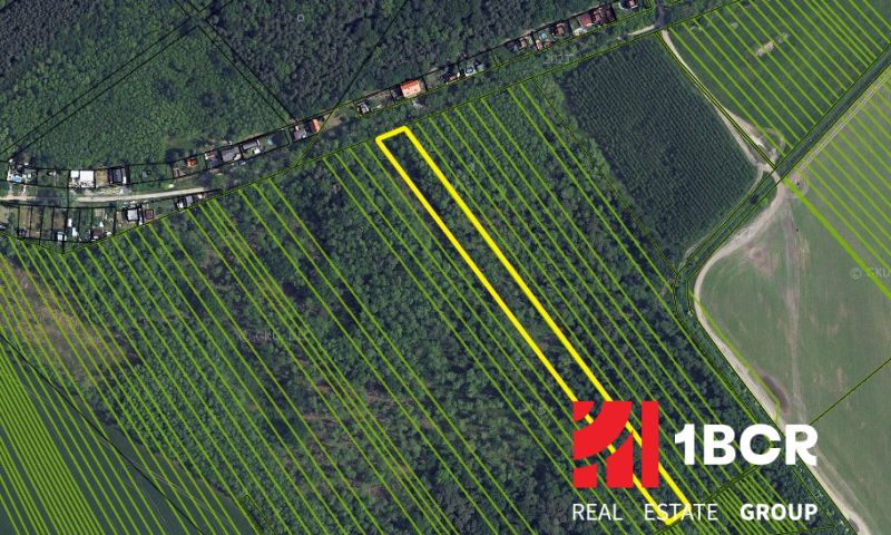 Sale Agrarian and forest land, Agrarian and forest land, Malacky, Slov