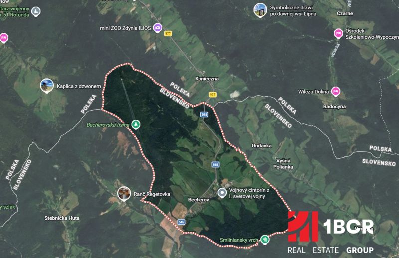 Sale Agrarian and forest land, Agrarian and forest land, Bardejov, Slo