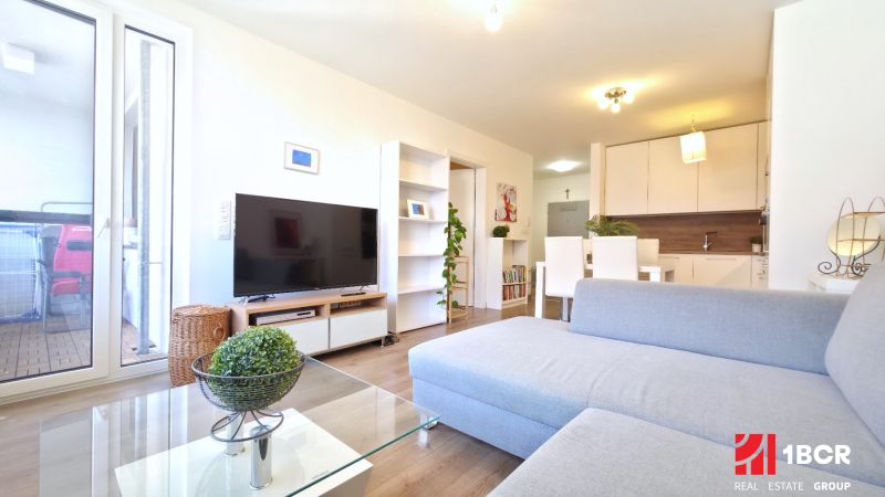 Rent One bedroom apartment, One bedroom apartment, Malokrasňanská, Bra