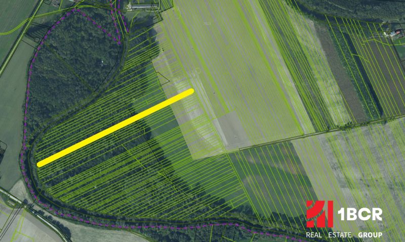 Sale Agrarian and forest land, Agrarian and forest land, Dunajská Stre